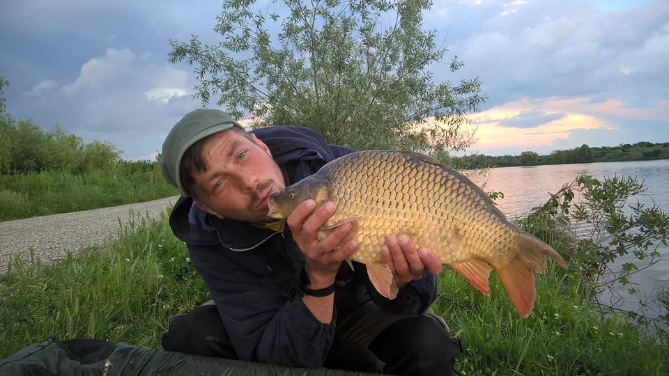 Pestisori - 1876794814149568452608357529138490631084587n.jpg